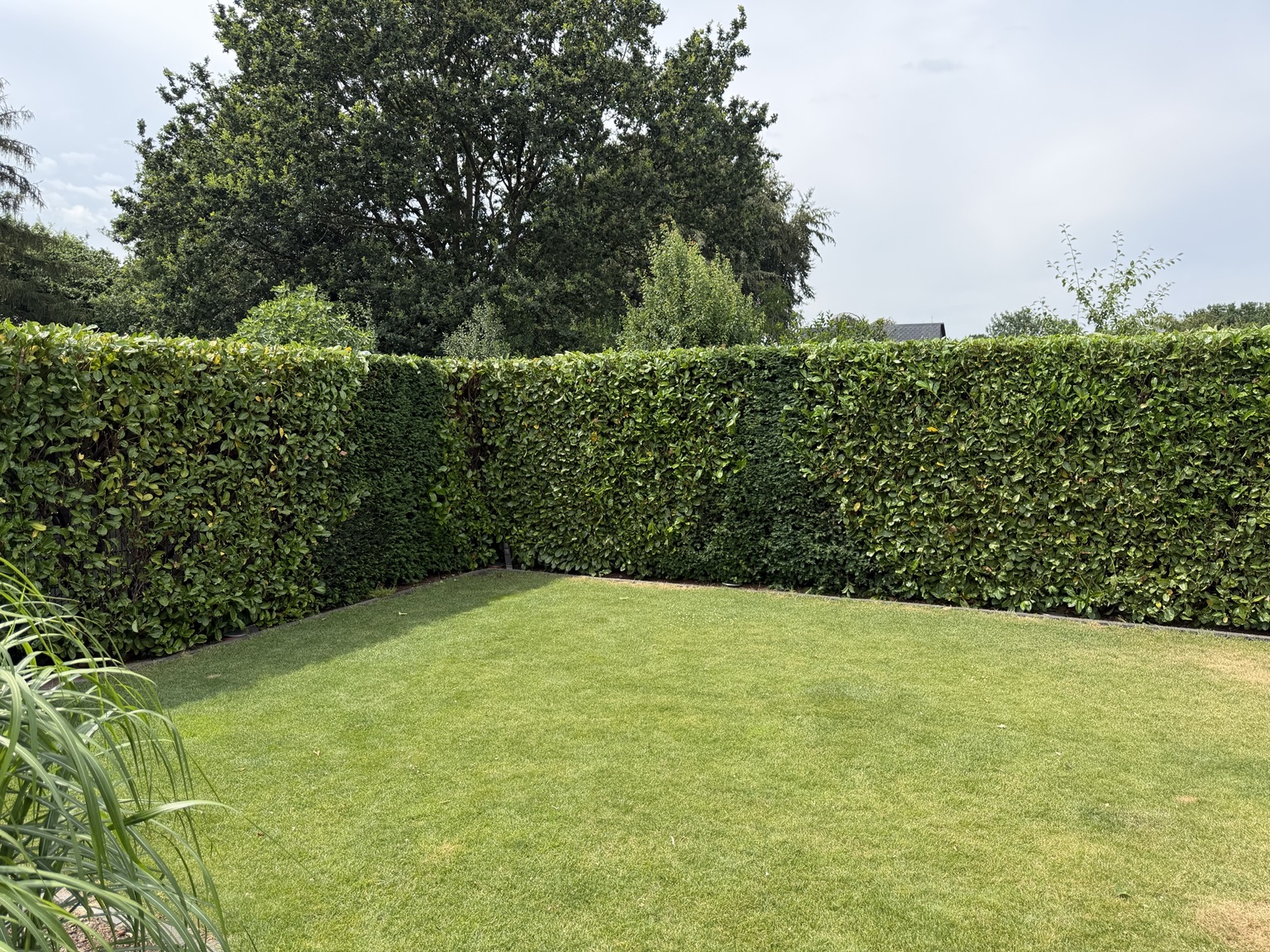 Gartenprojekt – Nachher