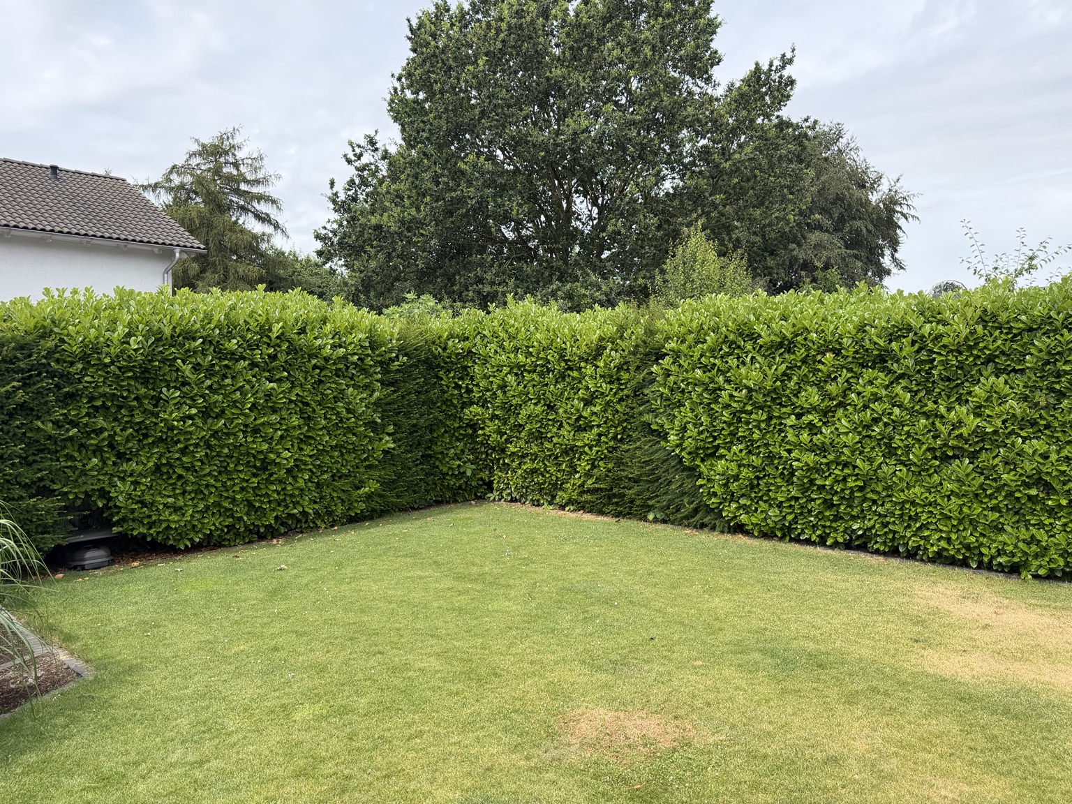 Gartenprojekt – Vorher